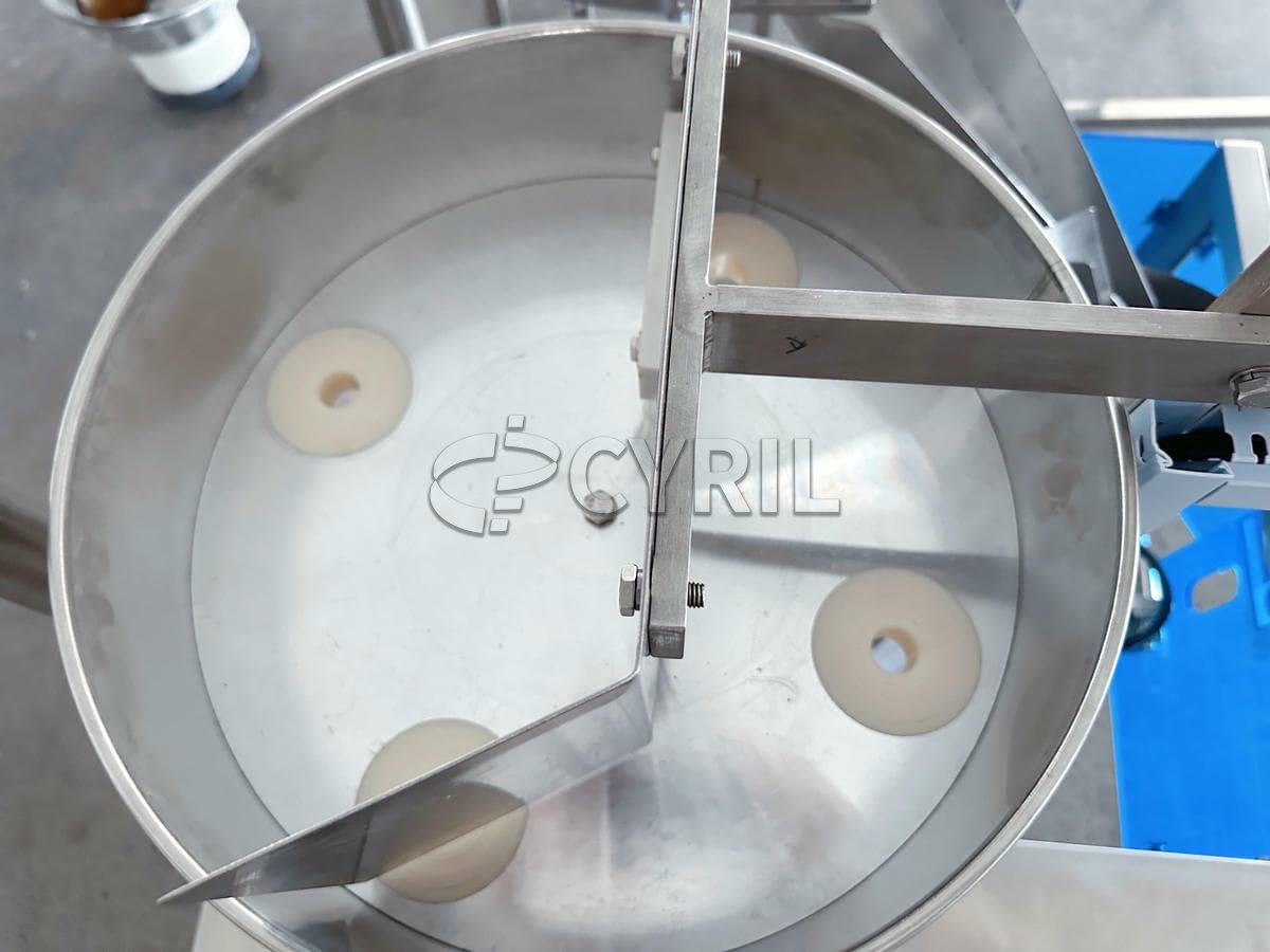 Four edge-sealing two-row carousel packaging machine