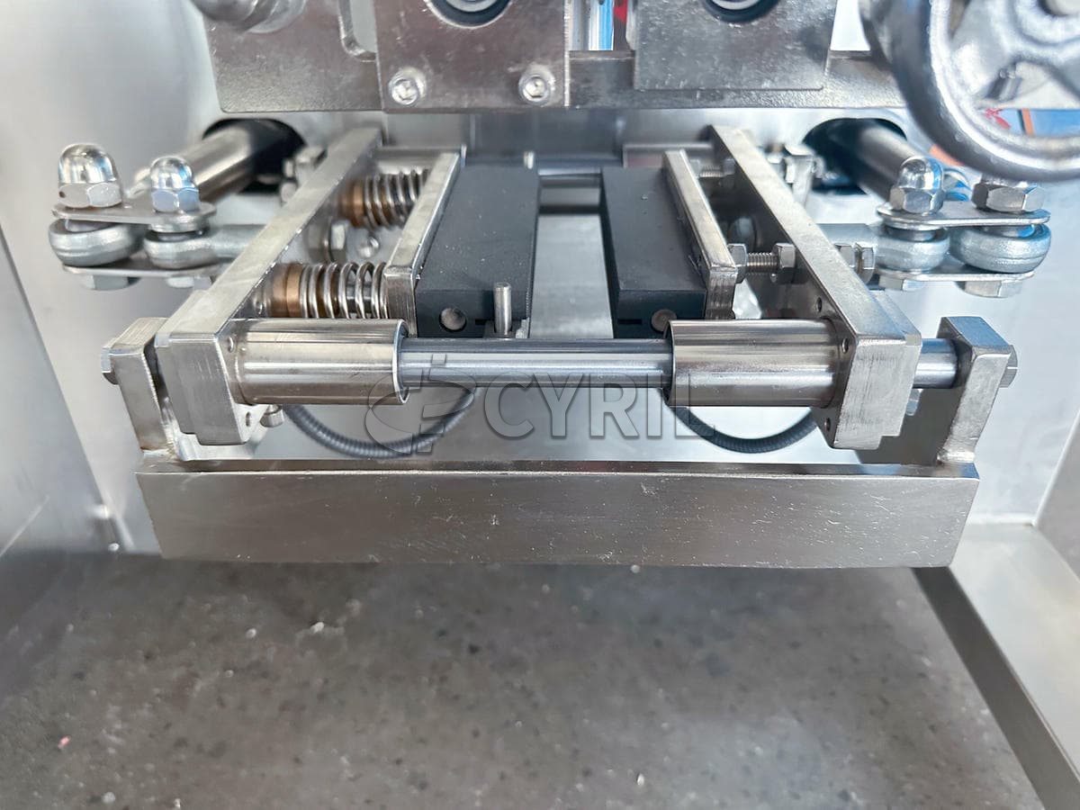 Four edge-sealing two-row carousel packaging machine